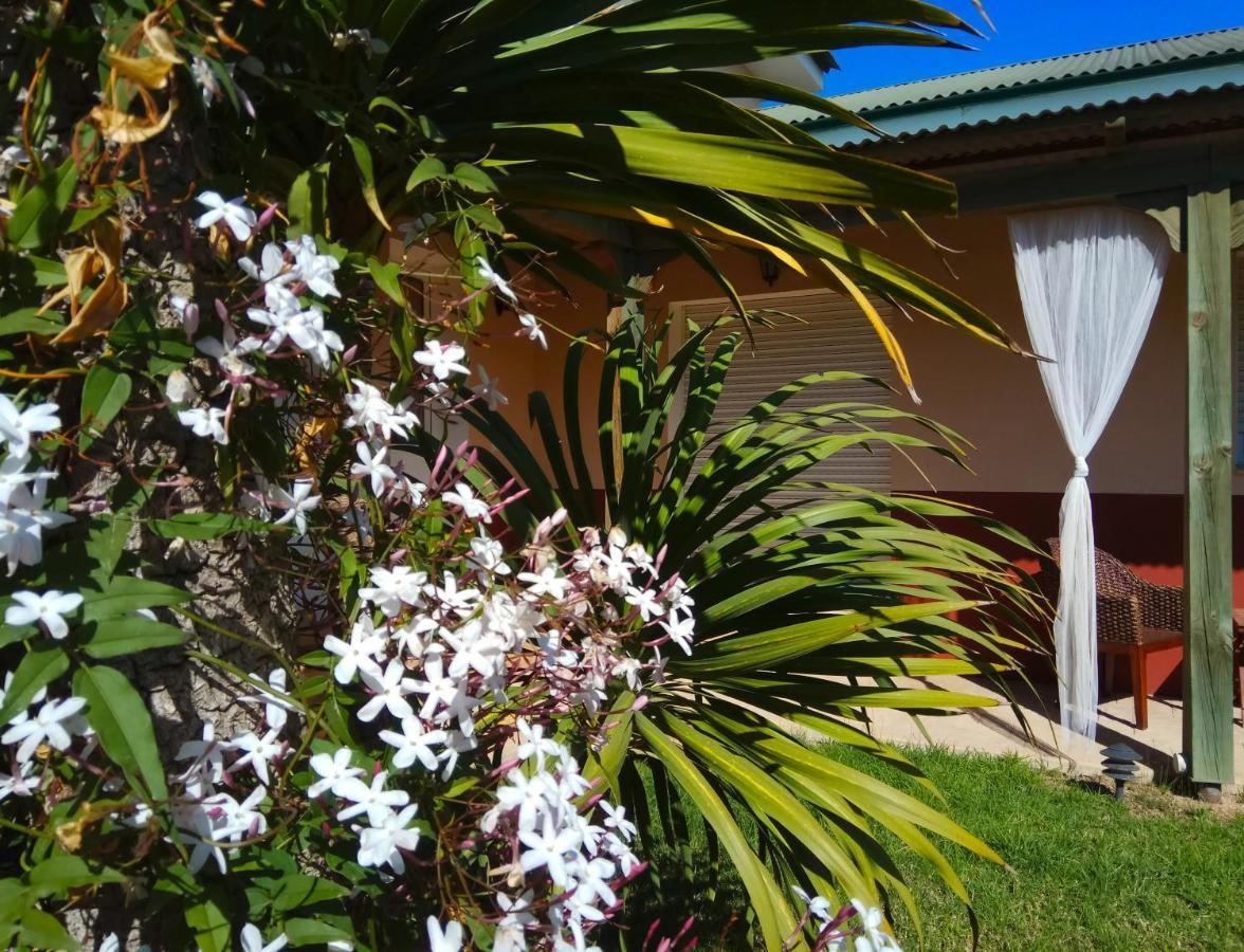 Casablanca El Petit Hotel Далтебра Екстер'єр фото